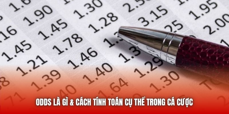 Odds là gì & cách tính toán cụ thể trong cá cược